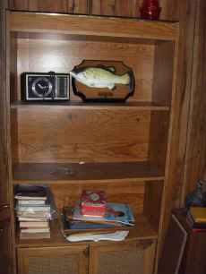 bookcase.JPG (70664 bytes)