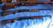 remington rifles.jpg (100620 bytes)